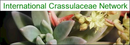 International Crassulaceae Network