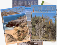Revue Succulentes, année 2005   - Les 4 numéros + N° spécial