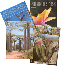 Revue Succulentes, année 2006   - Les 3 numéros + N° spécial