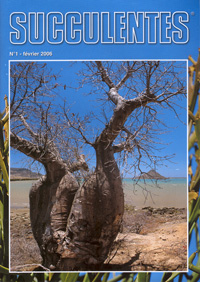Revue Succulentes, année 2006   - N°1 février 2006