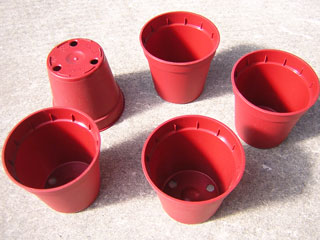 Pots ronds  5,5 cm Ø x 5 cm H (Kuma)   - paquet de 25