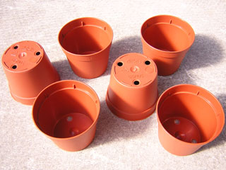 Pots ronds  6,5 cm Ø x 5,5 cm H (Arca)   - paquet de 25