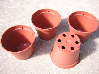 Pots ronds  8 cm Ø x 6 cm H (Kuma)   - paquet de 25