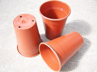 Pots à muguet Ø 8,7 cm H 11,3 cm (Soparco)   - paquet de 10