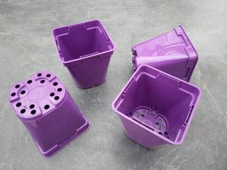 Pots carrés  9 cm L x 10 cm H (Soparco) violets 