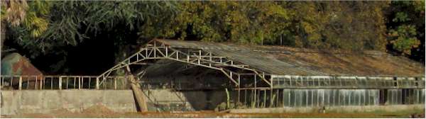 serre5.jpg