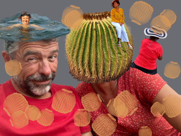 lorecactus.jpg